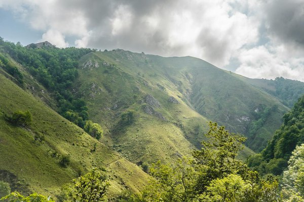 Comment préparer un voyage de trekking pour voir les gorilles en Ouganda ?