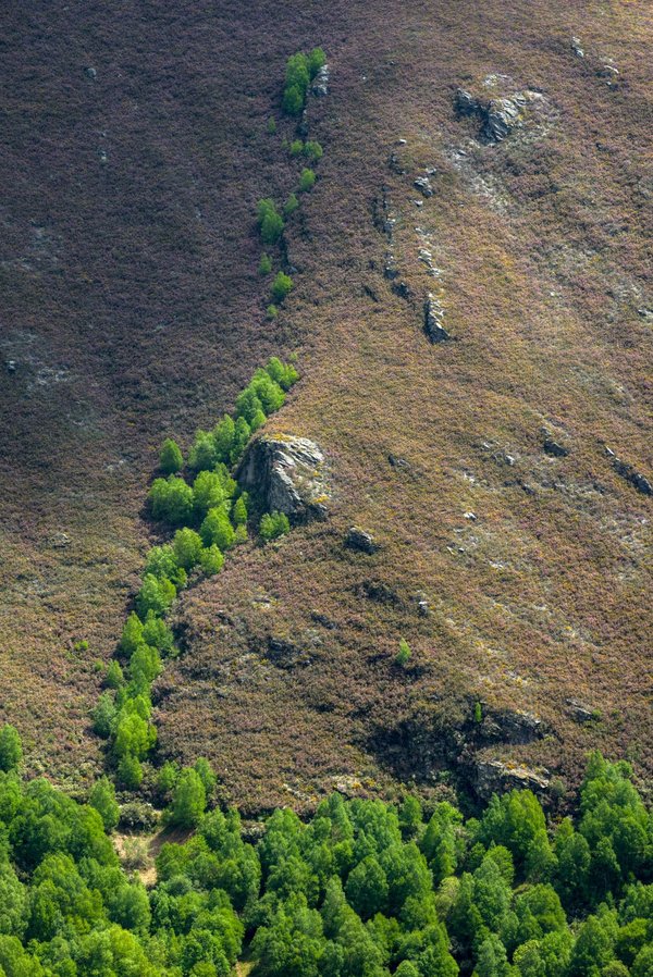 Quelle a été le premier pays africain à  être colonisée ?